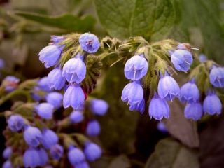 فال روز سه شنبه ۱۳ دسامبر - ۲۳ آذر.