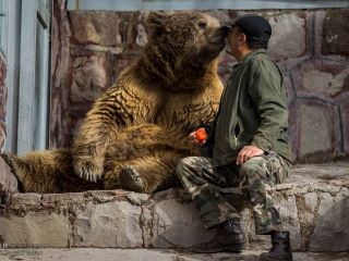 نادر نوری، تیمارکننده حیوانات در «دهکده طبیعت» قزوین - تصاویر