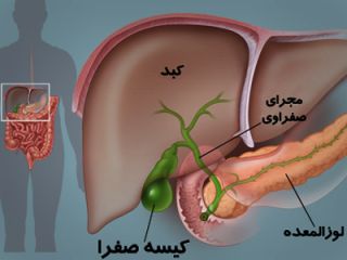 چطور بفهمیم لوزالمعده مان بیمار است؟
