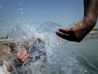 تشکیل «کمیته حقیقت‌یاب» برای انتقال آب کارون