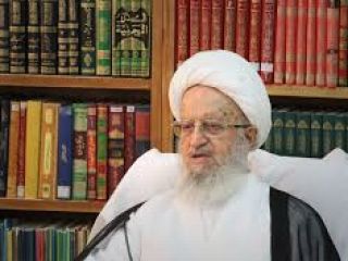 آیت‌الله مکارم: ایرانی‌ها باید به تحریم‌ها عادت کنند