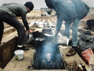 نامه سرگشاده اصغر فرهادی به روحانی درباره زندگی کارتن‌خواب‌ها در قبر: مایه شرمساری است