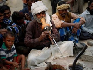 ممنوعیت مارگیری در هند.