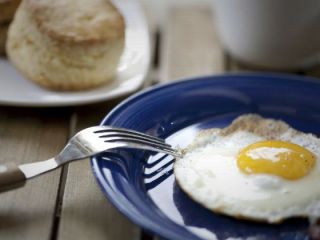 این مواد غذایی پرچرب را حتما بخورید