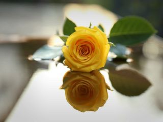 فال روز جمعه ۳ فوریه - ۱۵ بهمن.