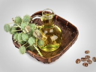 روغن کرچک؛ مبارزی توانمند در برابر نازک شدن مو!