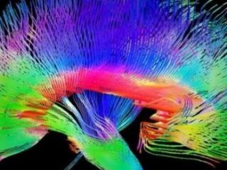 آیا خودآگاهی انسان صرفا یک توهم است؟