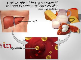 کاهش سریع کلسترول خون با این رژیم غذایی