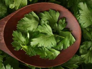 با مصرف چه سبزیجاتی می‌توان لاغر شد؟