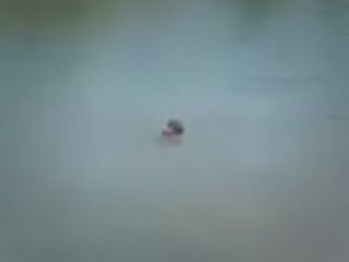 فیلم دردناک و تکان دهنده ازغرق شدن یک دانش آموزدر کرمانشاه جلو چشمان معلم و سایر کودکان دانش آموز