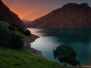 از شقایق وحشی دماوند تا دشت سوسن خوزستان.