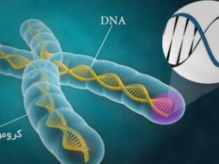 تاثیر افکار منفی بر DNA افراد