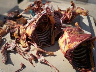 کشف ۴۵۰ کیلوگرم گوشت الاغ از یک قصابی در فارس