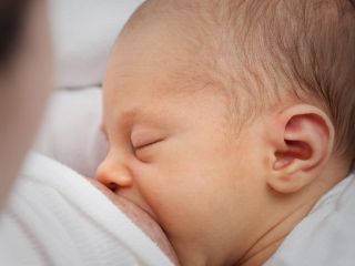 ۵ غذای گیاهی، افزایش‌دهنده شیر مادر هستند