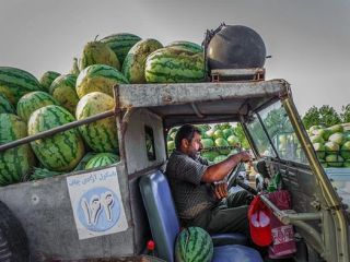 از درگذشت قهرمان وزنه‌برداری ایران تا مسابقات گلف زنان.