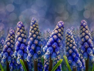 فال روز دوشنبه ۱۱ سپتامبر - ۲۰ شهریور.