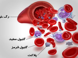 دردسرهای کاهش پلاکت خون