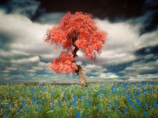 فال روز چهارشنبه ۱۱ اکتبر  - ۱۹ مهر.