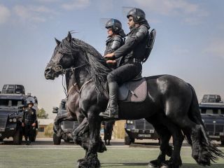 عکس روز : پلیس اسب سوار ایران