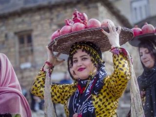 برداشت انار از باغات اورامان استان کردستان