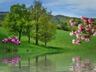 فال روز چهارشنبه ۱ نوامبر - ۱۰ آبان.