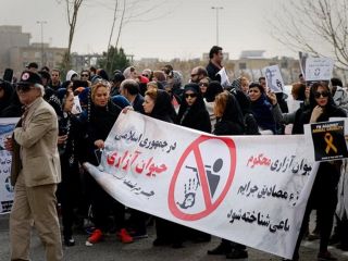 بررسی پیش‌نویس لایحه مقابله با حیوان‌آزاری در دستگاه قضایی ایران