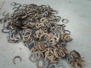 کشف نعل اسب قاچاق توسط ماموران گمرک!