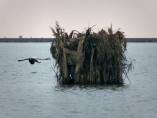 انتقاد یک مسئول دولتی از حمایت مقام‌های محلی از شکارچیان غیرمجاز