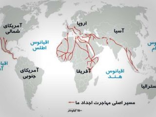 ما انسان‌ها در اصل اهل کجا هستیم؟