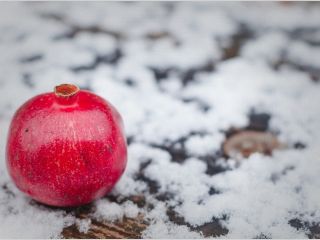 ۵ تا از سالم‌ترین خوردنی‌های زمستانی