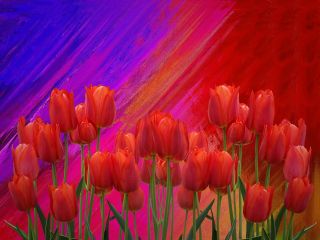 فال روز شنبه ۳ فوریه - ۱۴ بهمن.