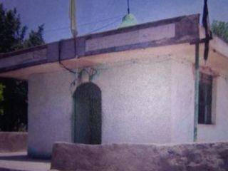 مسئله «روییدن یک امامزاده در تخت جمشید»