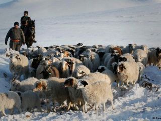 زندگی عشایر سیبری در سرمای حدود ۳۰ درجه زیر صفر.