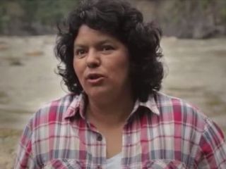 مدیر شرکت سدسازی به اتهام دستور قتل فعال محیط زیست بازداشت شد