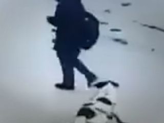 حمله سگ ولگرد به دختر ایرانی - ویدیو