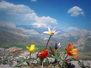 ۱۲ واقعیت جالب و خواندنی در مورد مظهر پایداری در ایران ; کوه دماوند - تصویری