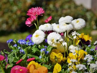 فال روز پنجشنبه ۵ اپریل - ۱۶ فروردین.