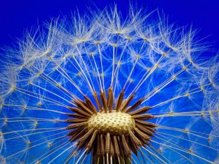 فال روز جمعه ۶ اپریل - ۱۷ فروردین.