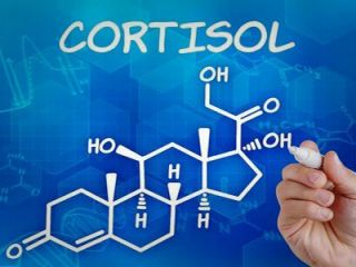 چگونه هورمون استرس را کم کنیم؟