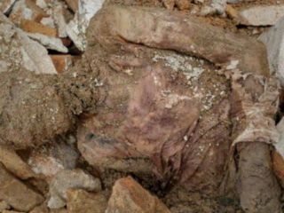 گزارش‌های تائید نشده از «دفن دوباره» جسد رضا شاه و بازداشت دو فعال مدنی در محل کشف جسد‎