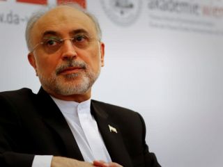 صالحی: ‌آقای ترامپ نه خودش را به دردسر بیاندازد و نه ما را