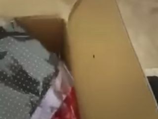 بسته های ارسالی هلال احمر به زلزله زدگان کرمانشاه ... از البسه دست چندم تا ۱۷ عدد روسری برای حفظ حجاب!!