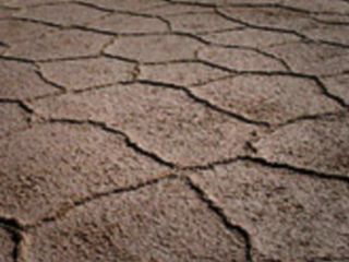 «۴۸۵ روستای استان خراسان جنوبی یک قطره هم آب آشامیدنی ندارند»