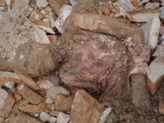 عضو شورای شهر: مومیایی کشف‌شده در شهرری، متعلق به رضاشاه بود، محل دفن را «مسئولین امر» می‌دانند