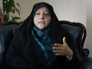 معاون رئیس‌جمهوری ایران: فعالان محیط زیستی زندانی به زودی آزاد می‌شوند