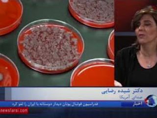 نتایج یک تحقیق: اصرار بیماران، پزشکان را به تجویز آنتی بیوتیک مجبور می کند