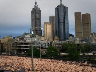 موافقت فروشگاه استرالیایی با عکاسی از هزاران انسان برهنه