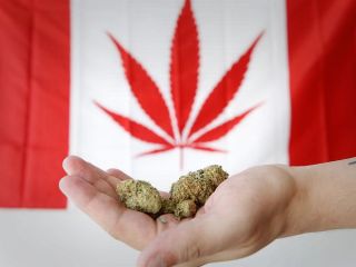 مصرف تفریحی ماری‌جوانا در کانادا قانونی شد