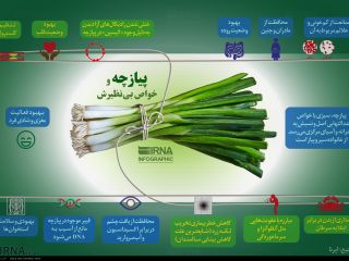 پیازچه و خواص بی نظیرش (اینفوگرافی)