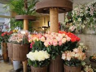 قیمت گل در ایران ۶ برابر هلند!